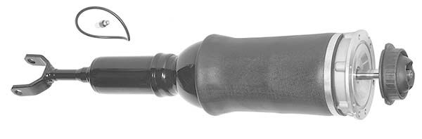 Amortisseur - AMP1000 MGA