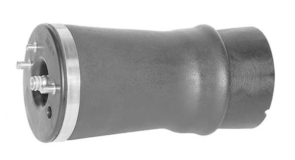 Ressort pneumatique - RP2004 MGA