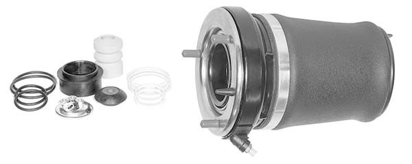 Ressort pneumatique - RP2005 MGA