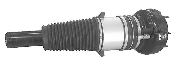 Amortisseur - AMP3004 MGA