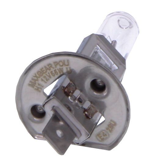 Ampoule - 78-0005 MAXGEAR – Image 2