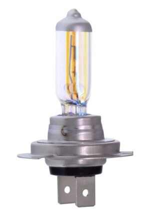 Ampoule (sans ECE) - 78-0098 MAXGEAR