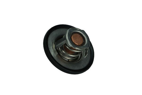Thermostat d'eau - 67-0100 - MAXGEAR – Image 2